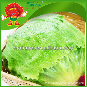 Inflatable Chinese pickled romaine iceberg lettuce